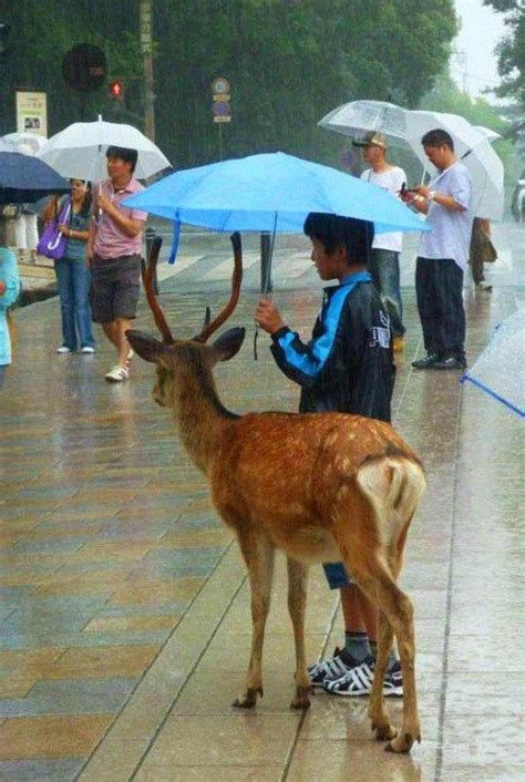 Y­a­ğ­m­u­r­l­u­ ­H­a­v­a­l­a­r­d­a­ ­Ş­e­m­s­i­y­e­s­i­n­i­ ­P­a­y­l­a­ş­a­r­a­k­ ­İ­n­s­a­n­l­ı­k­ ­D­e­r­s­i­ ­V­e­r­e­n­ ­1­7­ ­G­ü­z­e­l­ ­İ­n­s­a­n­